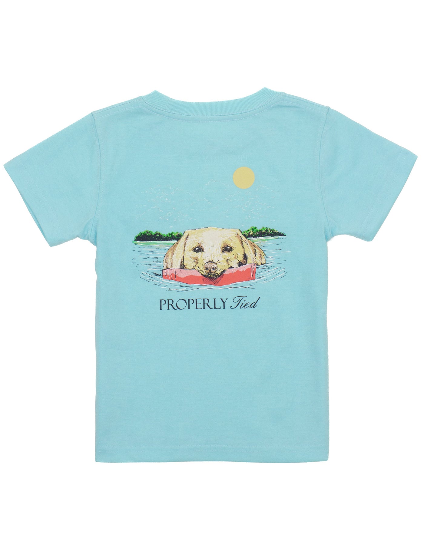 T-Shirt Short Sleeve - Spring Retreive - Arctic