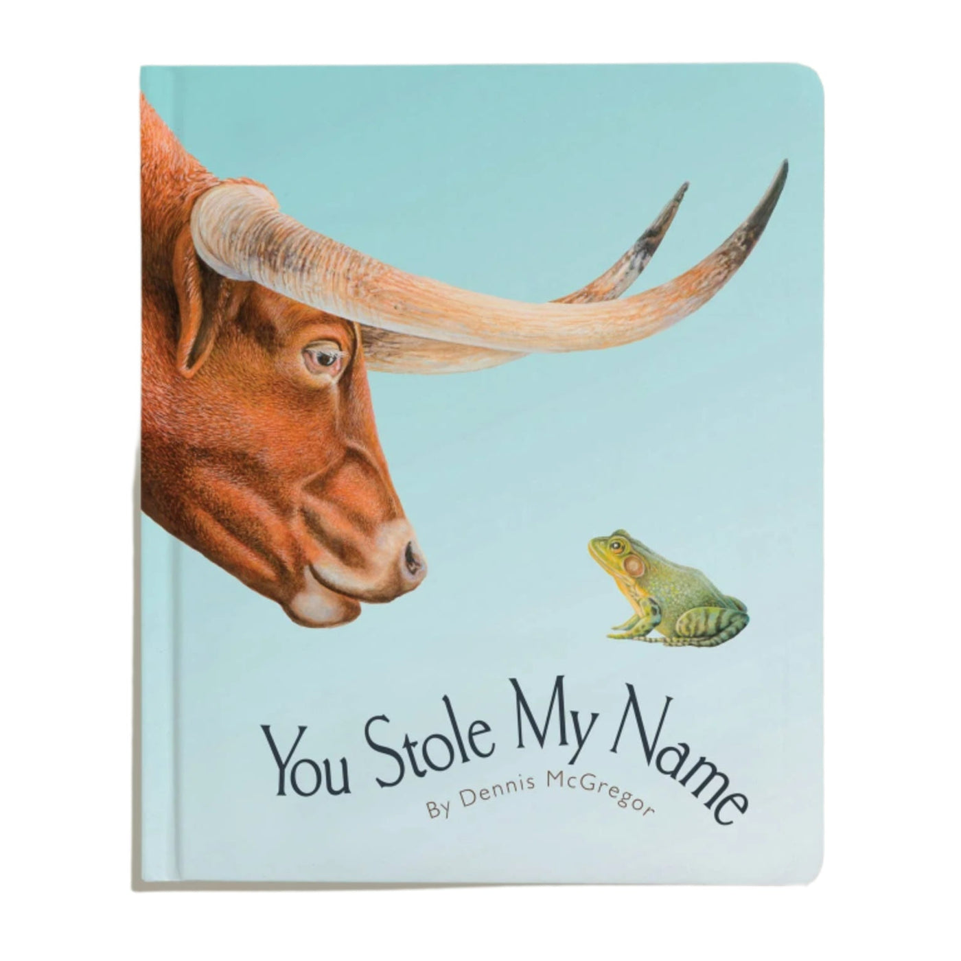 You Stole My Name: A Board Book for Baby