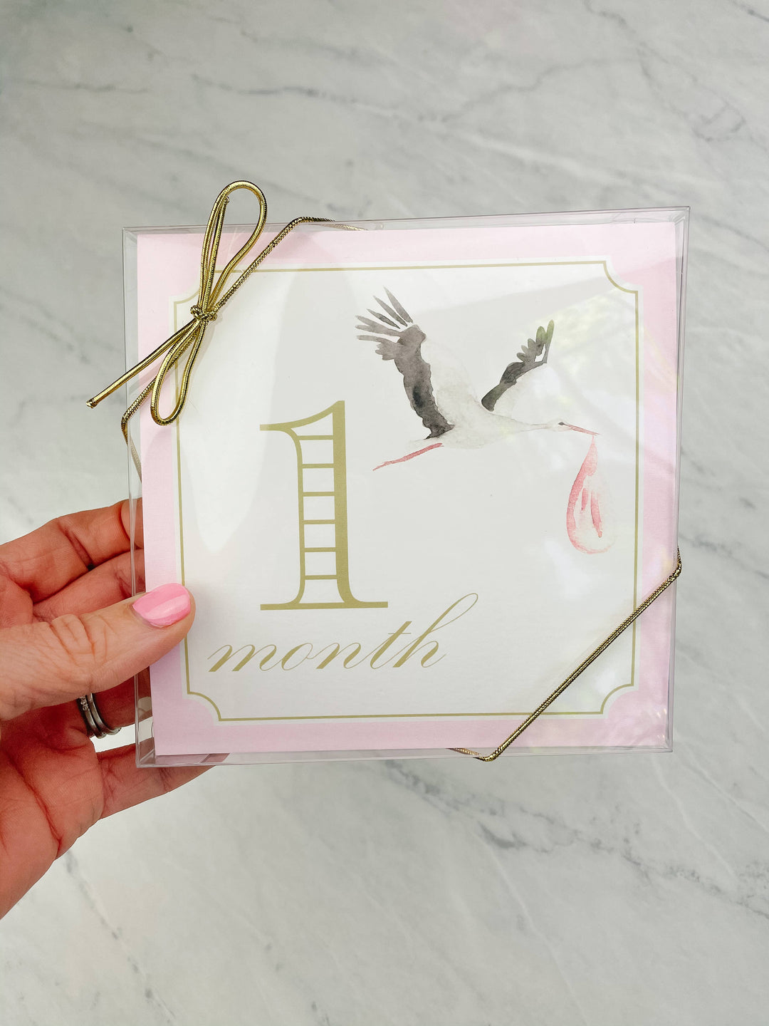 Milestone Cards - Classic Pink with Stork