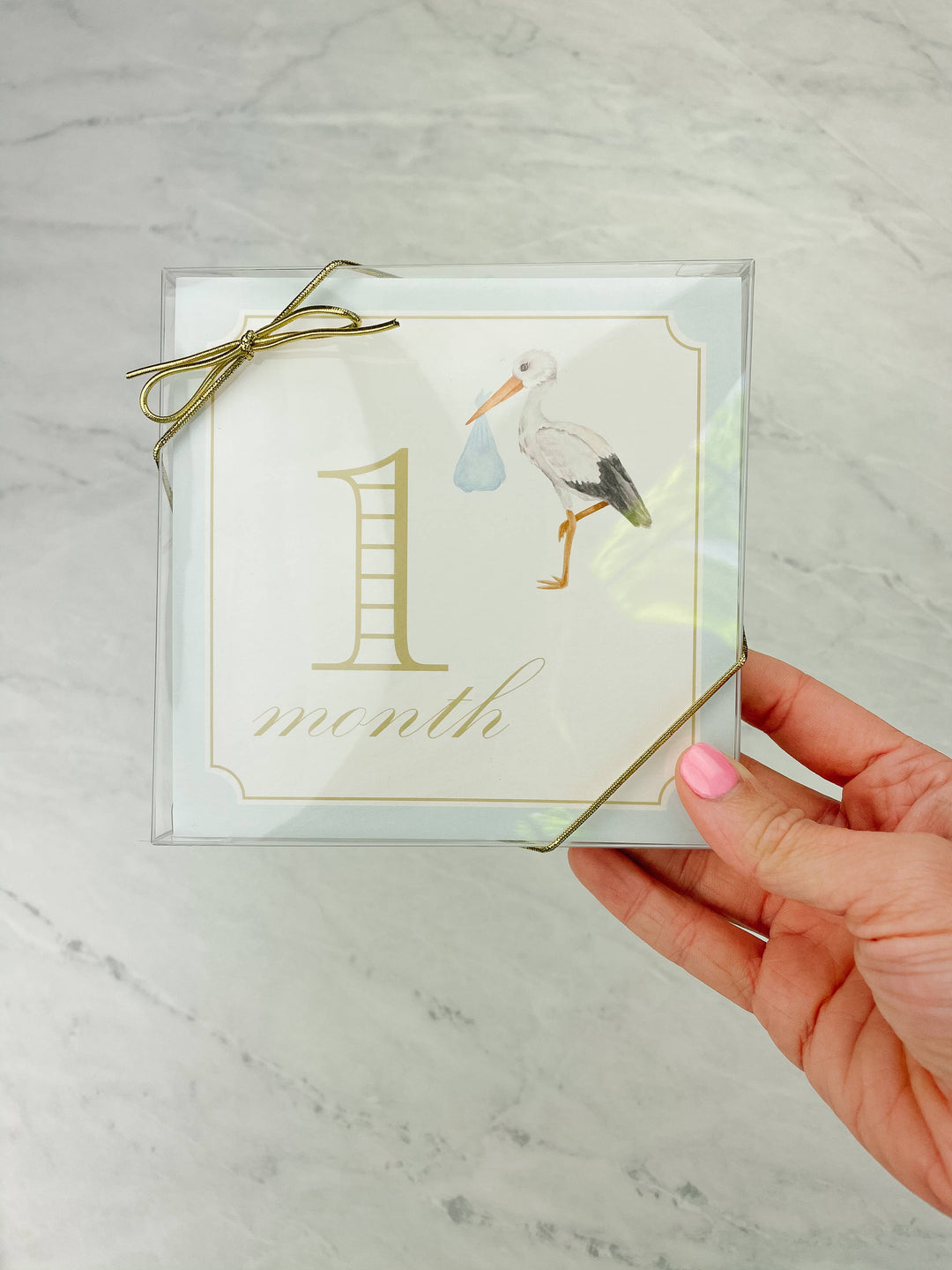 Milestone Cards - Classic Blue with Stork