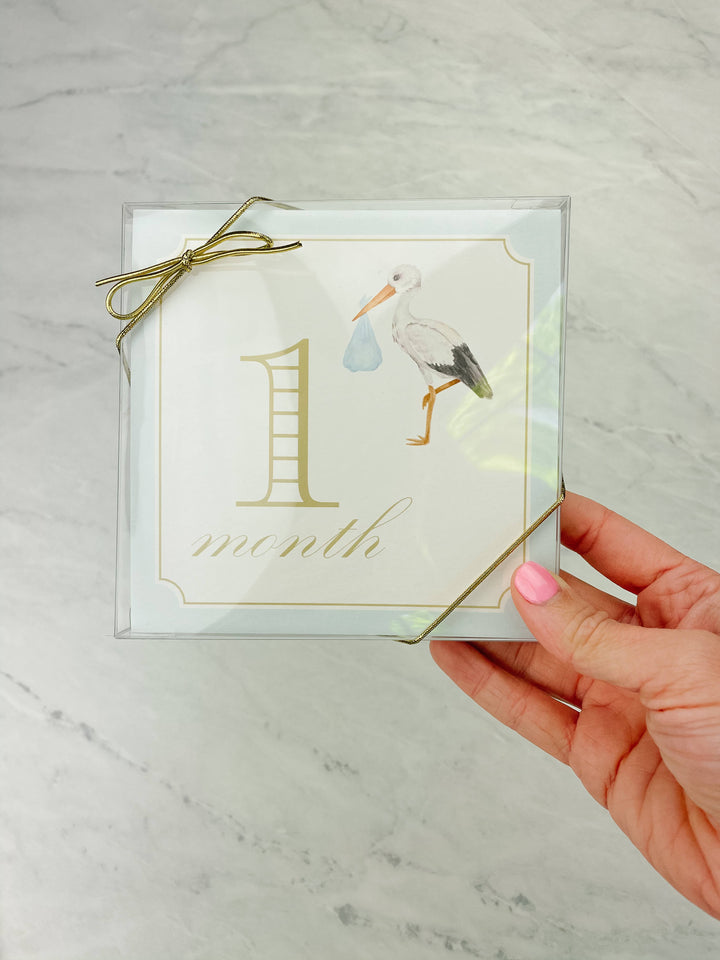 Milestone Cards - Classic Blue with Stork