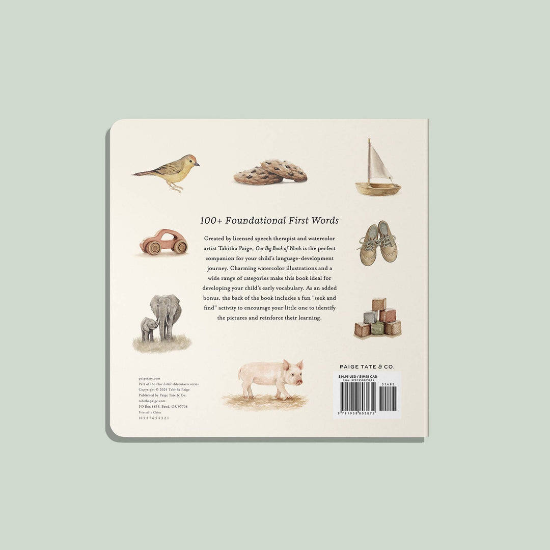 Our Big Book of First Words (Baby Board Book)