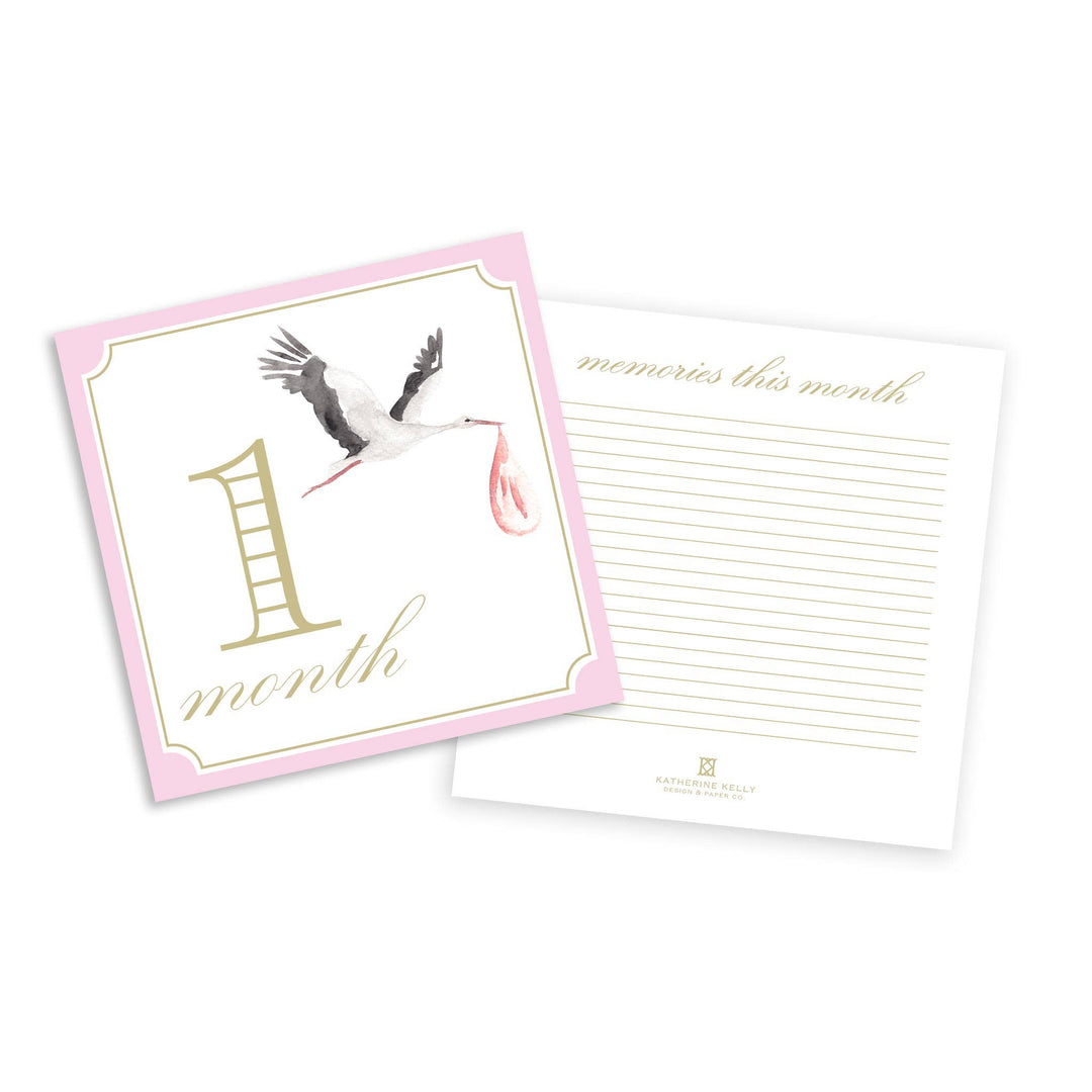 Milestone Cards - Classic Pink with Stork