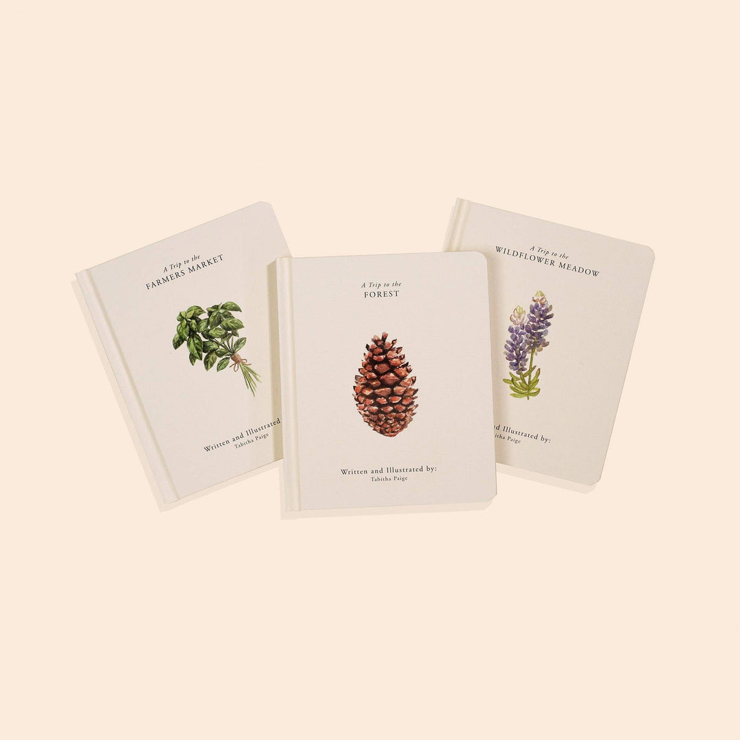 Our Little Adventures Box Book Set for Kids