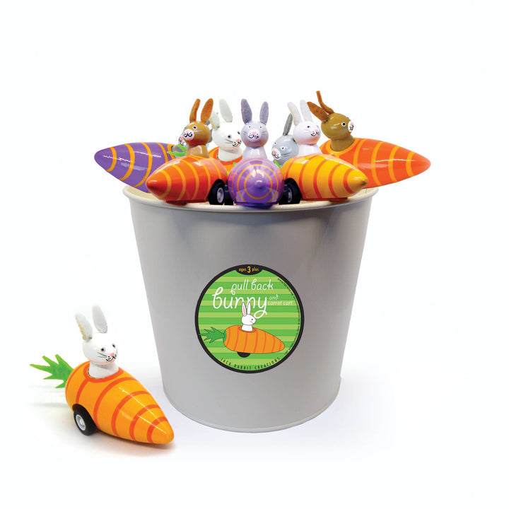 Pull Back Toy - Easter Bunny in Carrot