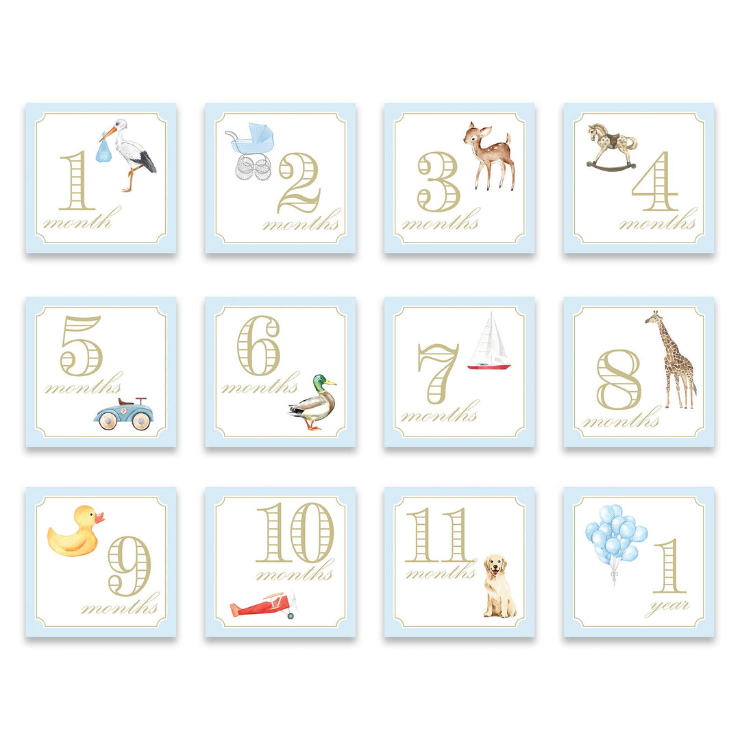 katherine kelly Milestone Cards - Classic Blue with Stork