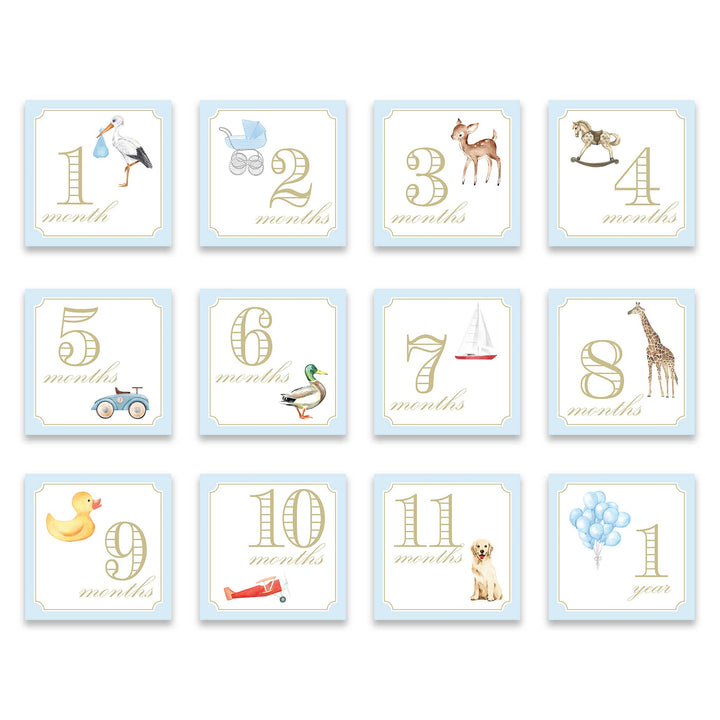 katherine kelly Milestone Cards - Classic Blue with Stork