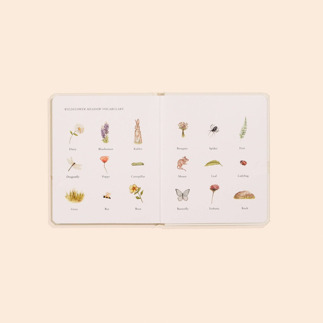 Our Little Adventures Box Book Set for Kids