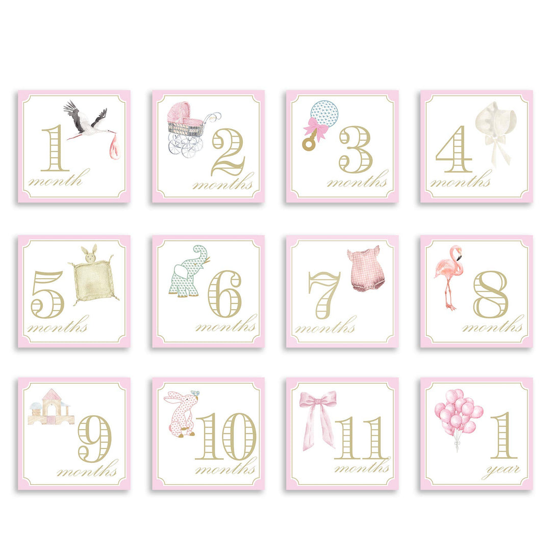 katherine kelly Milestone Cards - Classic Pink with Stork