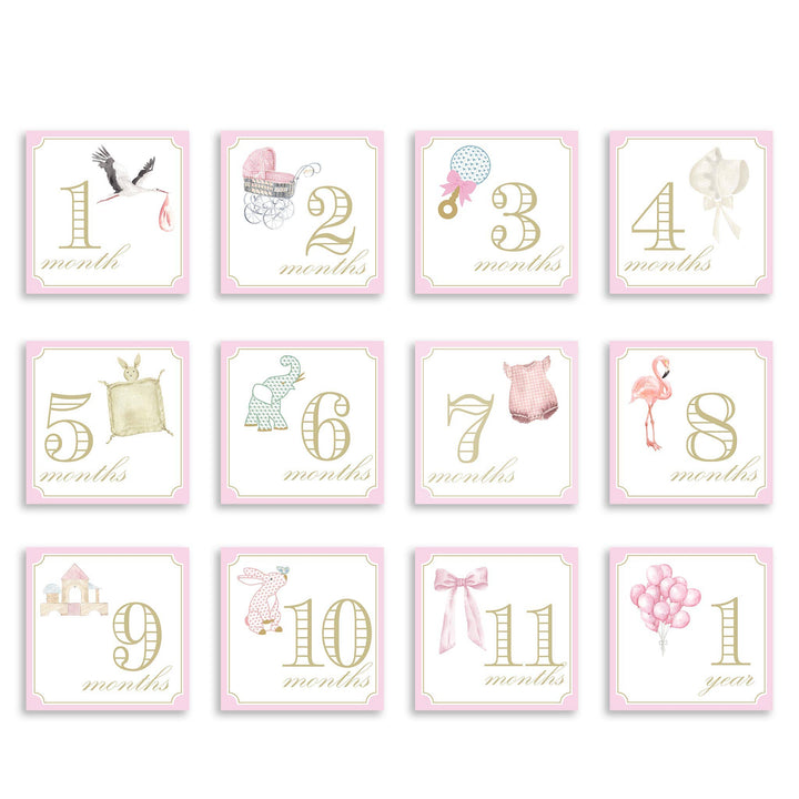 katherine kelly Milestone Cards - Classic Pink with Stork