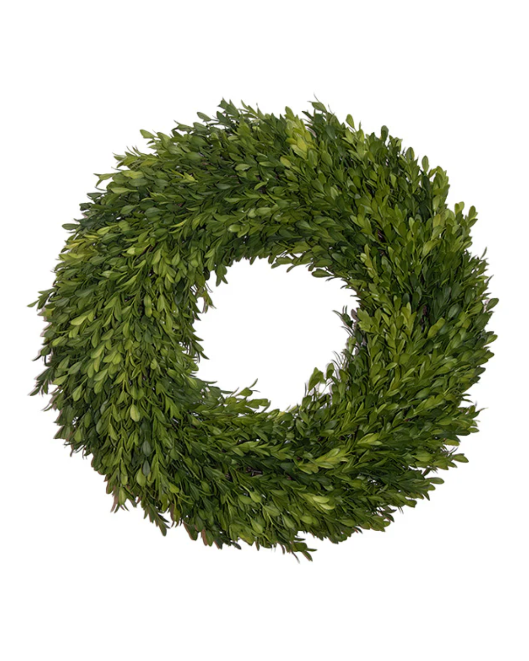 Boxwood Wreath - 18" Round
