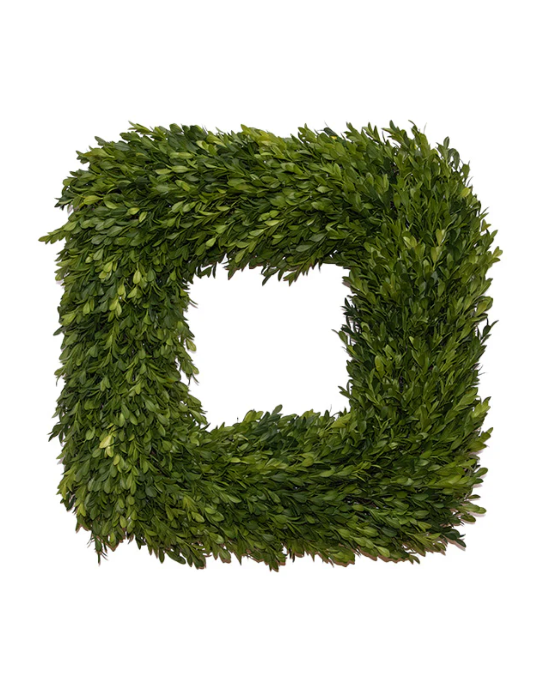 Boxwood Wreath - 18" Square