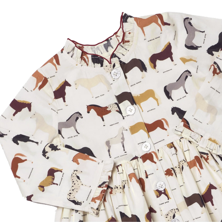 Autumn Dress - Horse Breeds