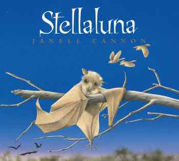 Stellaluna Board Book