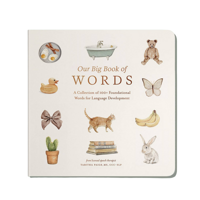 tabitha paige Our Big Book of First Words (Baby Board Book)